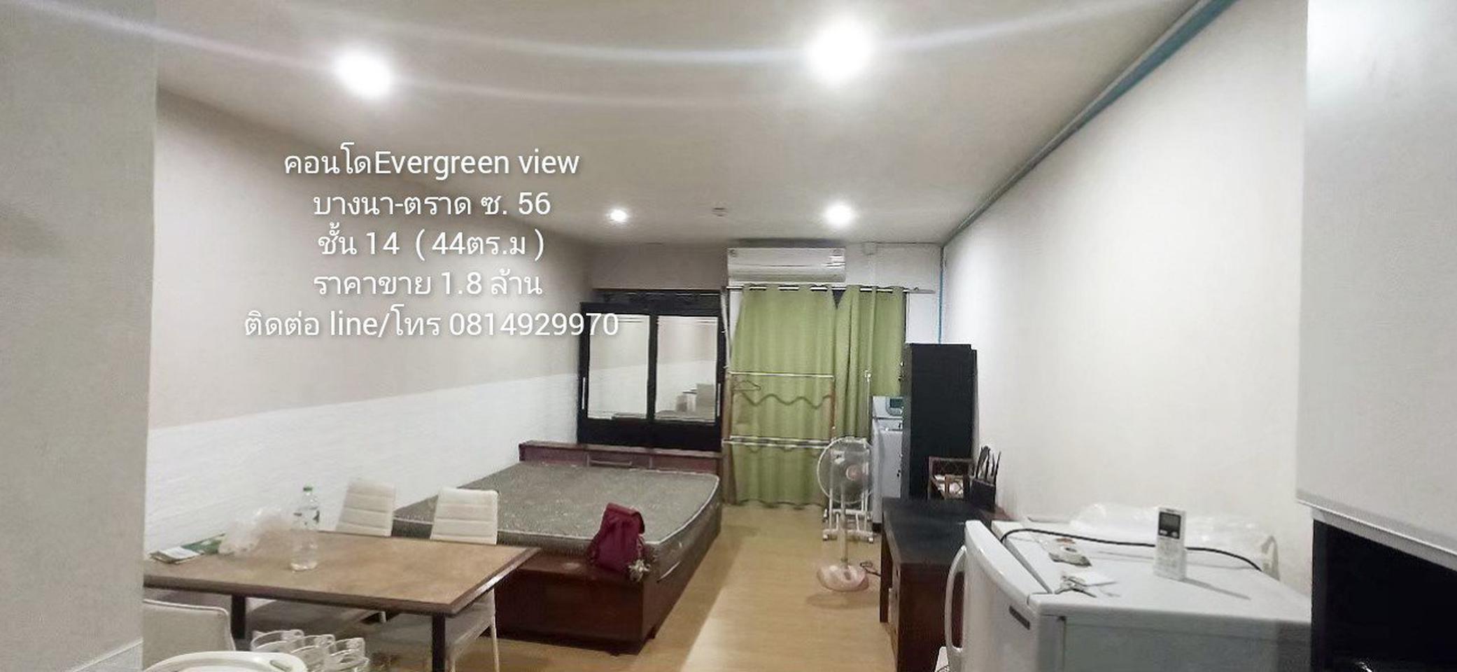 คอนโด 44ตร.ม Evergreen View ชั้น 14 ซอยบางนา-ตราด 56 | Ennxo