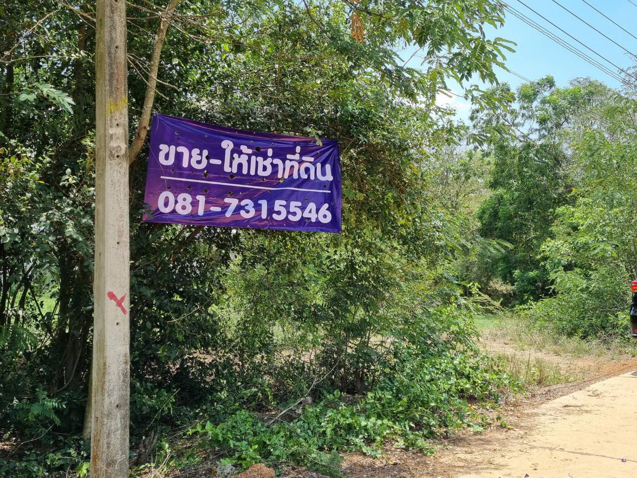 ขาย-ให้เช่าที่ดินระยะยาว ใกล้ถนนหลวง 150 เมตร ติดถนนคอนกรีต 1 ไร่ 83 ตรว ราคาถูกมาก รูปที่ 1