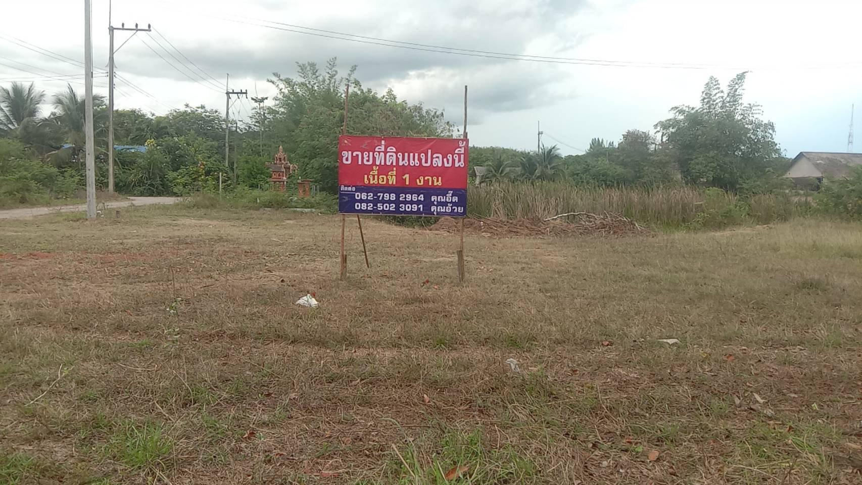 ที่ดินเปล่า รูปที่ 2