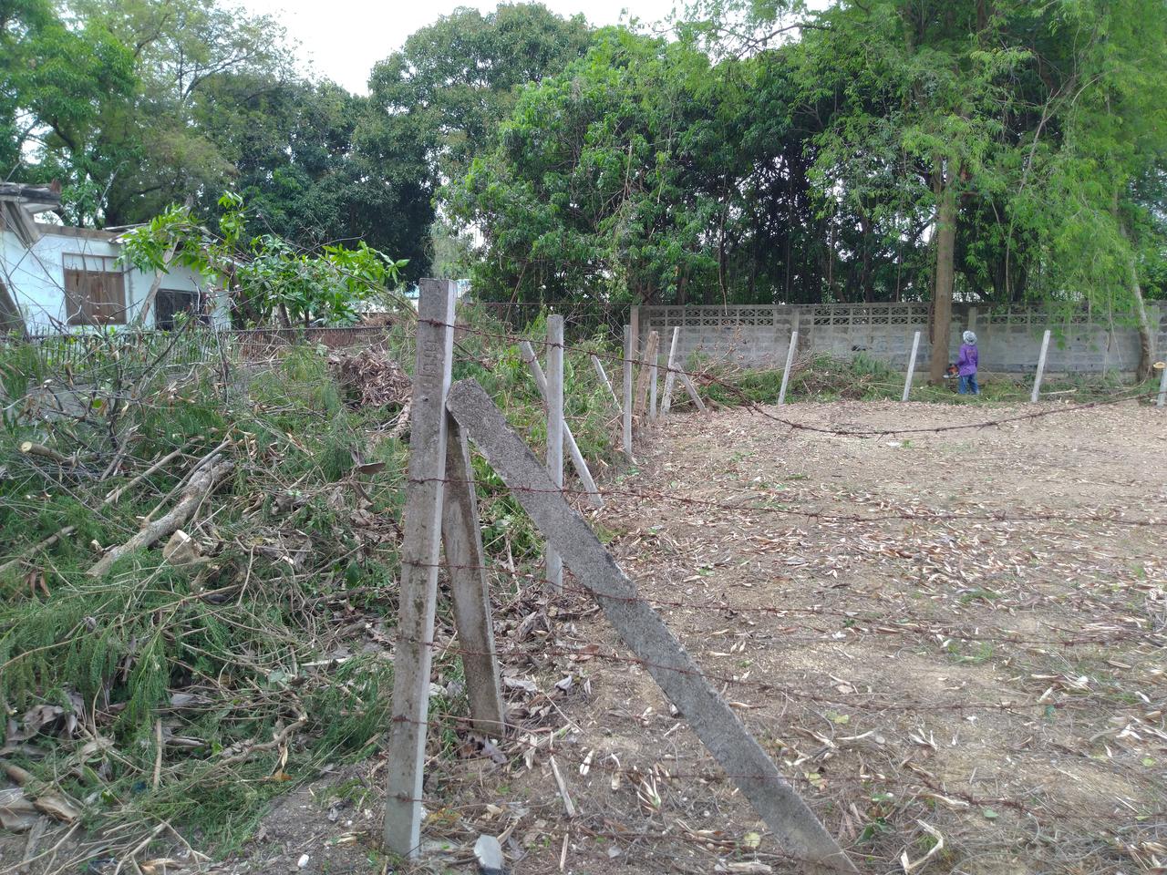 ขายที่ดินถมแล้ว บ้านป่าติ้ว ต.สันโป่ง อ.แม่ริม รูปที่ 5