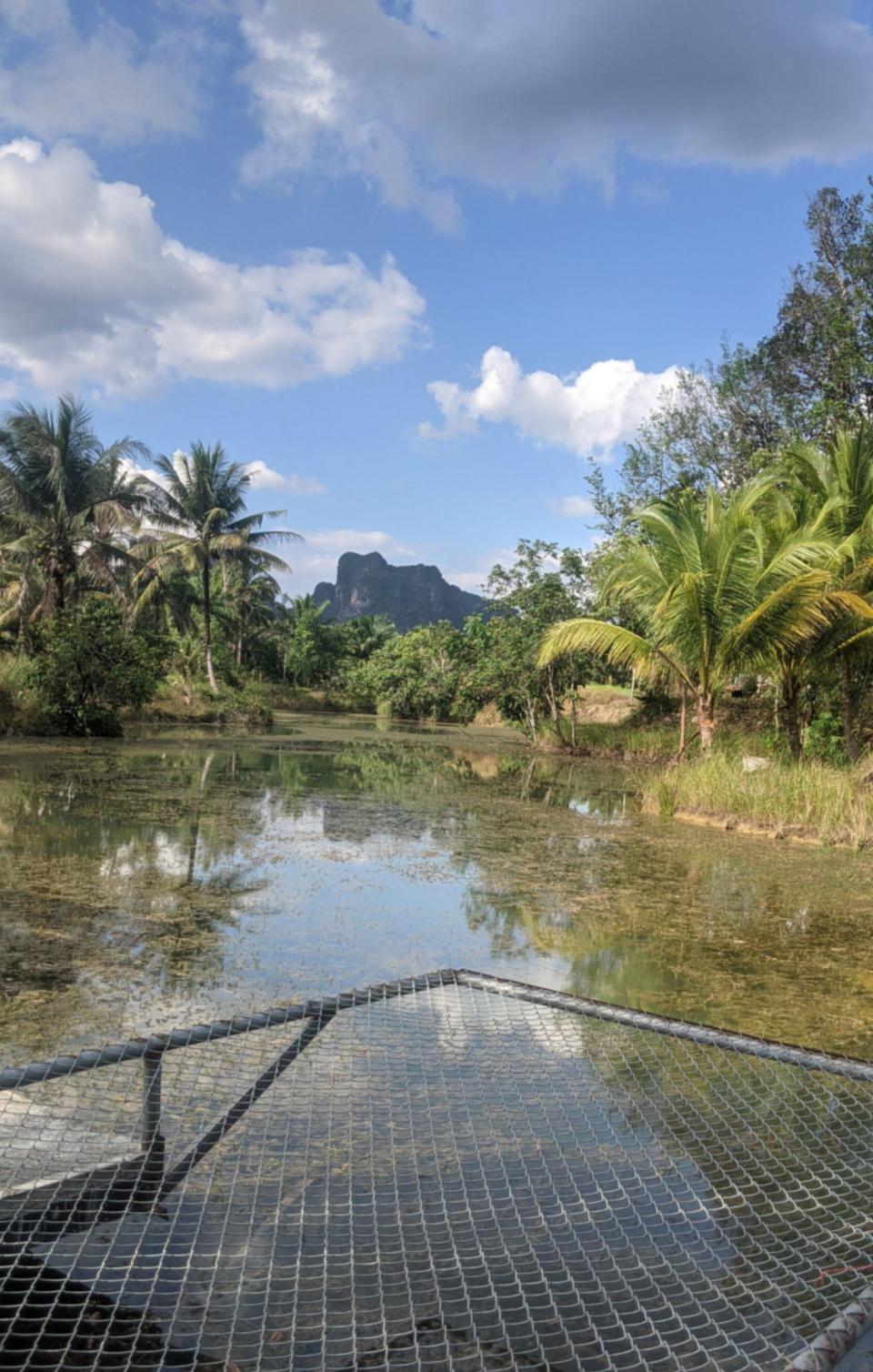 ที่ดินโซนอ่าวนาง จ.กระบี่ Land for sale Aonang,Krabi Thailand ENNXO