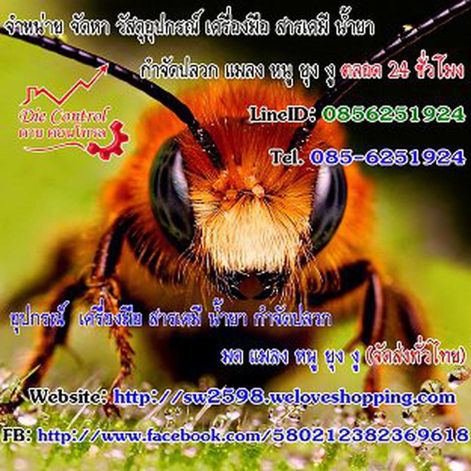 กำจัดปลวก,กำจัดแมลง,ป้องกันปลวก,บริษัทกำจัดปลวก,บริษัทกำจัดแมลง,เครื่องมือ,วัสดุอุปกรณ์,ผลิตภัณฑ์,สารเคมีต่าง ๆ