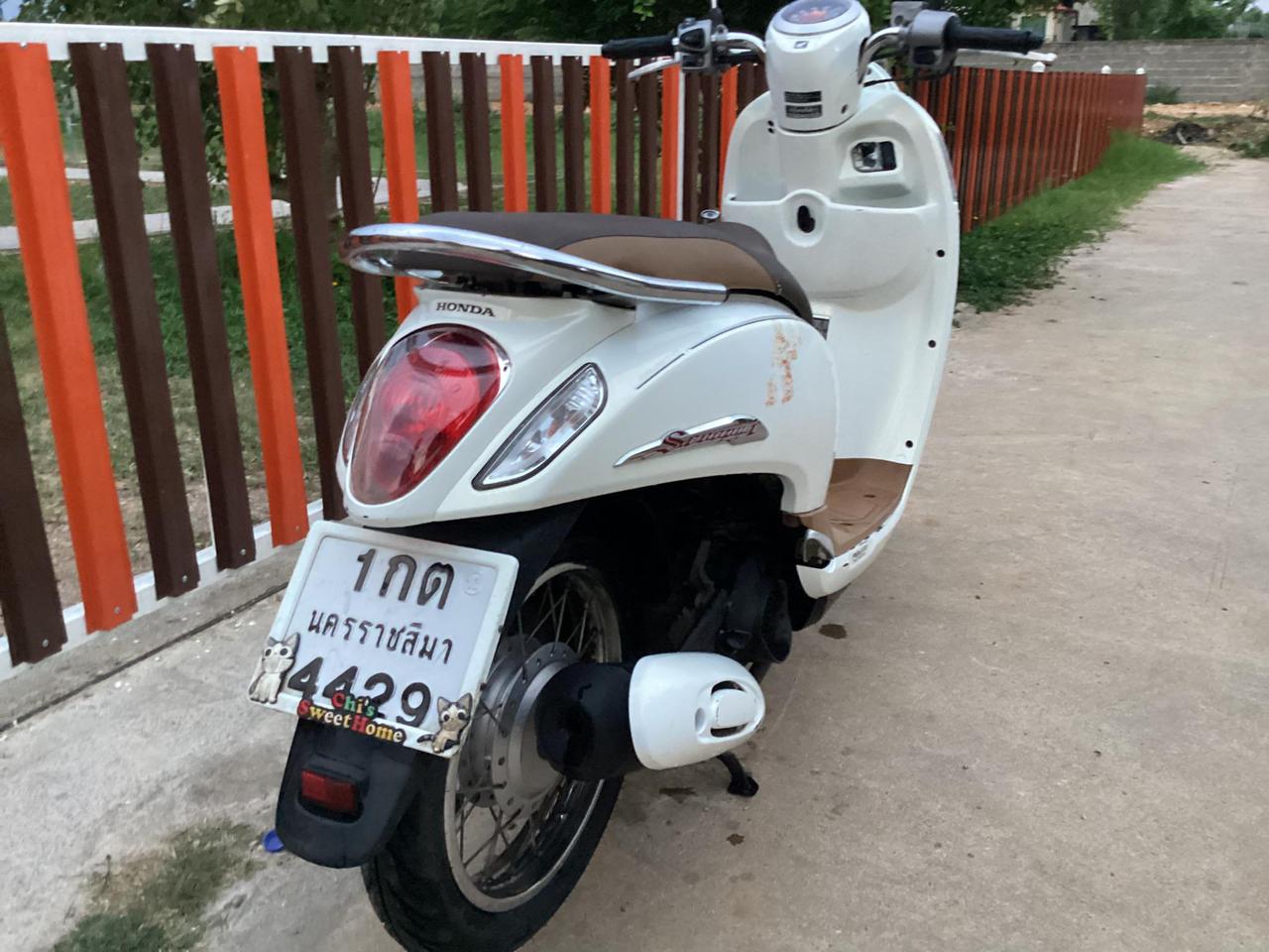 scoopy i รูปที่ 4