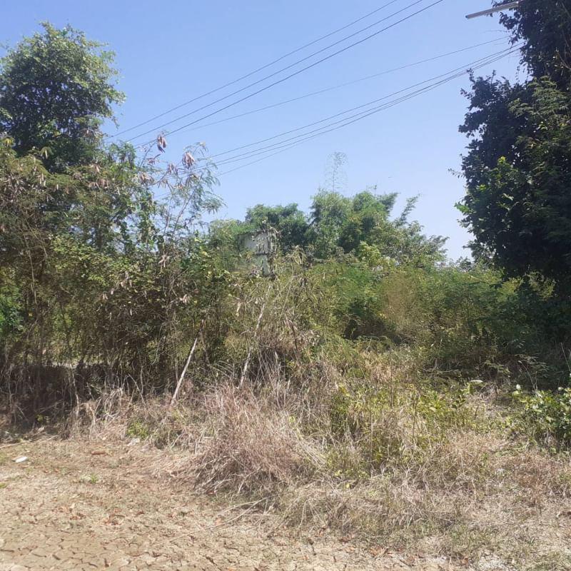 ขายที่ดินสระบุรี รูปที่ 1