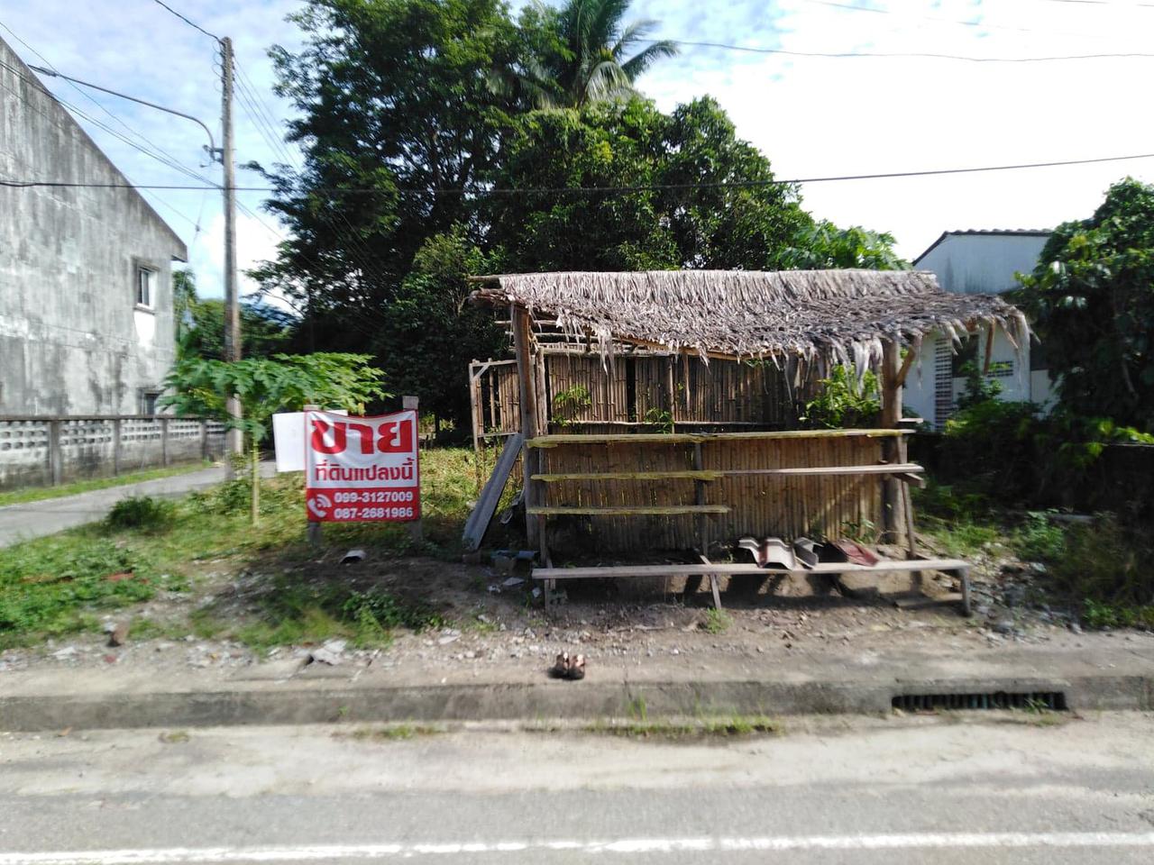 ขายที่ดิน อ.สุไหงปาดี ต.ปะลุรู รูปที่ 1