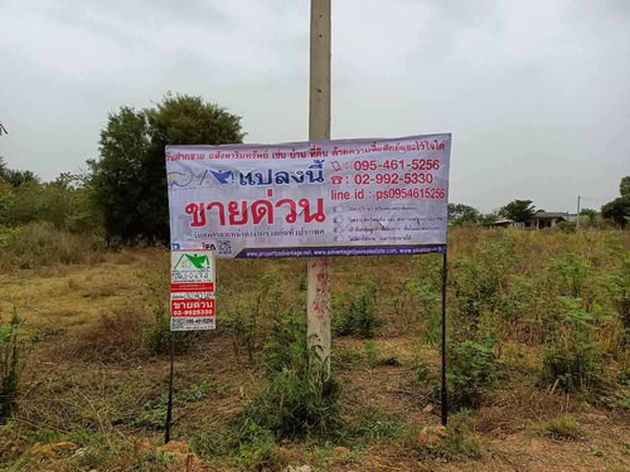 ขายที่ดิน4-0-6.7 ไร่  ต.ไร่ใหม่พัฒนา อ.ชะอำ  จ.เพชรบุรี  รูปที่ 6
