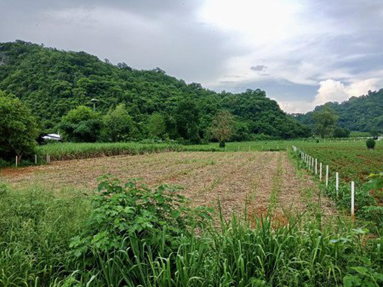 ขายถูก!! ที่ดินสวย 2 ไร่ ริมถนนใหญ่ คลองม่วง ปากช่อง ใกล้เขา วิวเขาชัดเจน ใกล้ Tayama Farm ใกล้เขาใหญ่ ไม่เปล ปิดประกาศ
