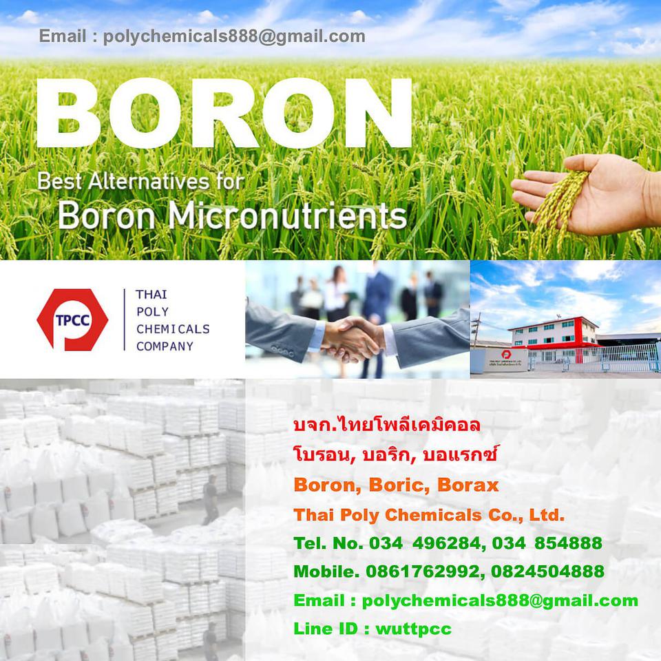 โบรอน, Boron, ผงจุลธาตุโบรอน, ปุ๋ยโบรอน, บอริกแอซิด, บอแรกซ์