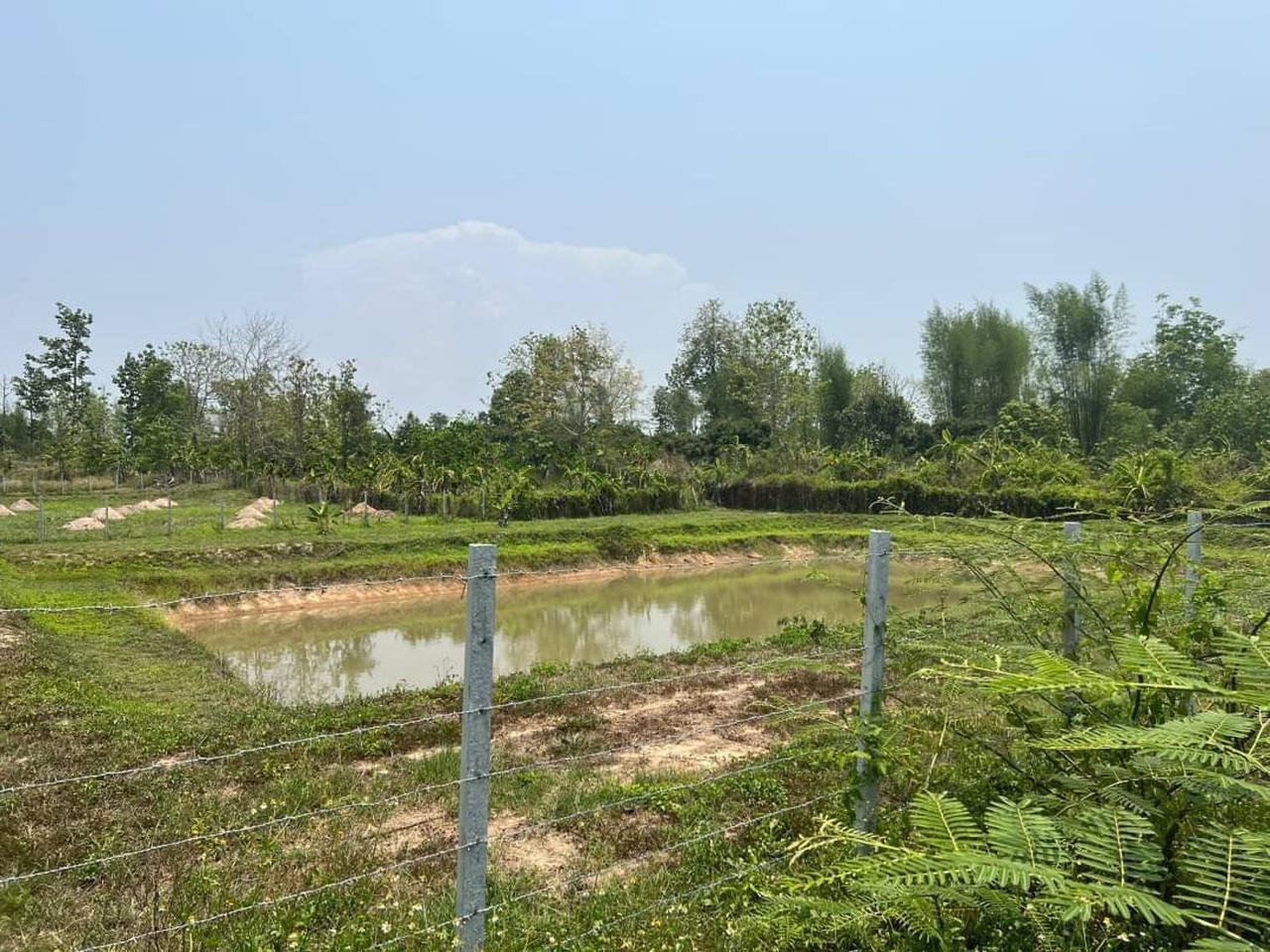 ที่ดินเปล่า รูปที่ 1