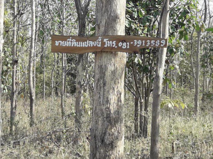ขายถูก ที่ดินพร้อมสัก 4 ไร่ อายุ 25++ เนื้อดีแน่น รูปที่ 1