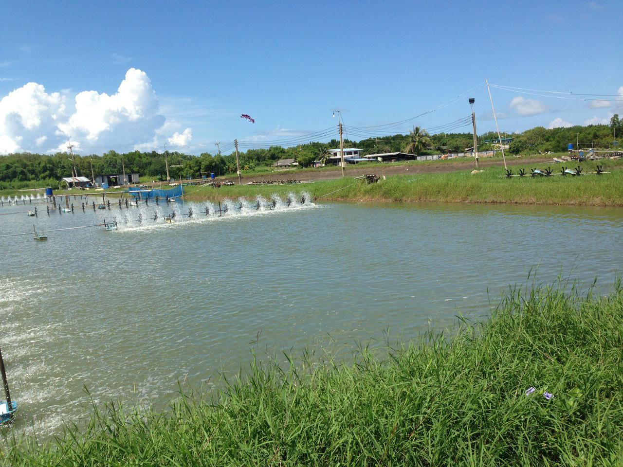 Large Land 43,200 sqm. for Sale Sea View at Chathaburi ENNXO