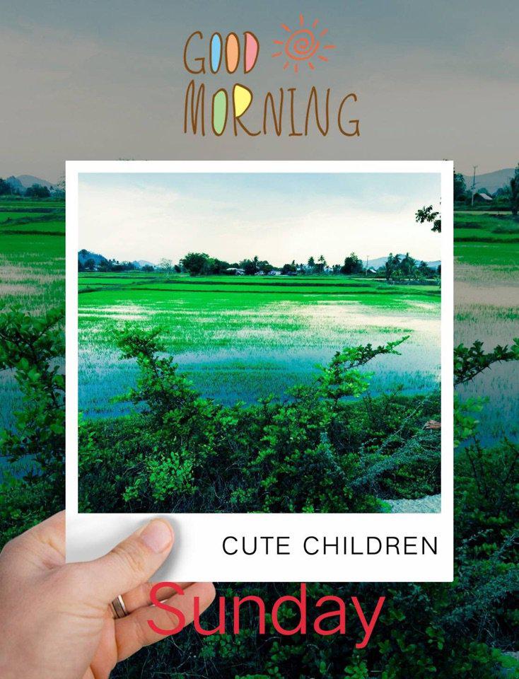 ปล่อยขายที่ดิน จ.ราชบุรี ( เจ้าของขายเอง )