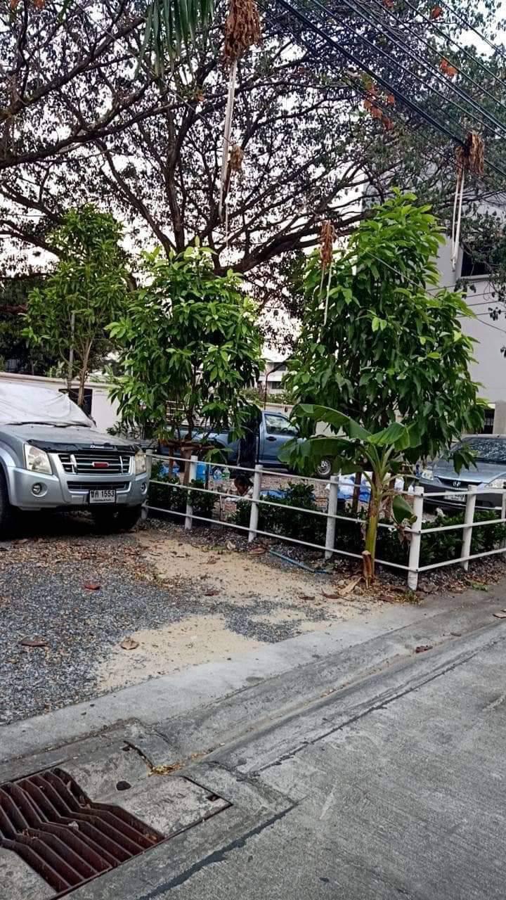 ให้เช่า ออฟฟิต สำนักงาน 4 ชั้น เนื้อที่ 90 ตรว. ใหม่สวยพร้อมอยู่ วงศ์สว่าง ประชาชื่น รูปที่ 5