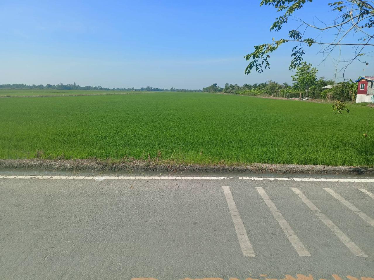   ขายด่วน ที่ดินเปล่า 96-2-62 ไร่ ๆละ 1.3 ล้านติดคลอง ติดถนนเลียบคลองสิบสี่ฝั่งตะวันตก ติดโรงเรียนวัดใหม่เจริญราษฏร์