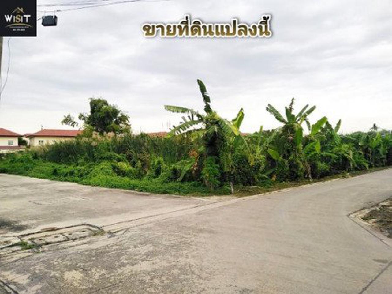ขายที่ดินแปลงมุม เนื้อที่ 165 ตร.วา ถนนเพชรเกษม 77 ซ.สวัสดิการ 1 แยก 9-2 เหมาะสร้างบ้าน รูปที่ 1