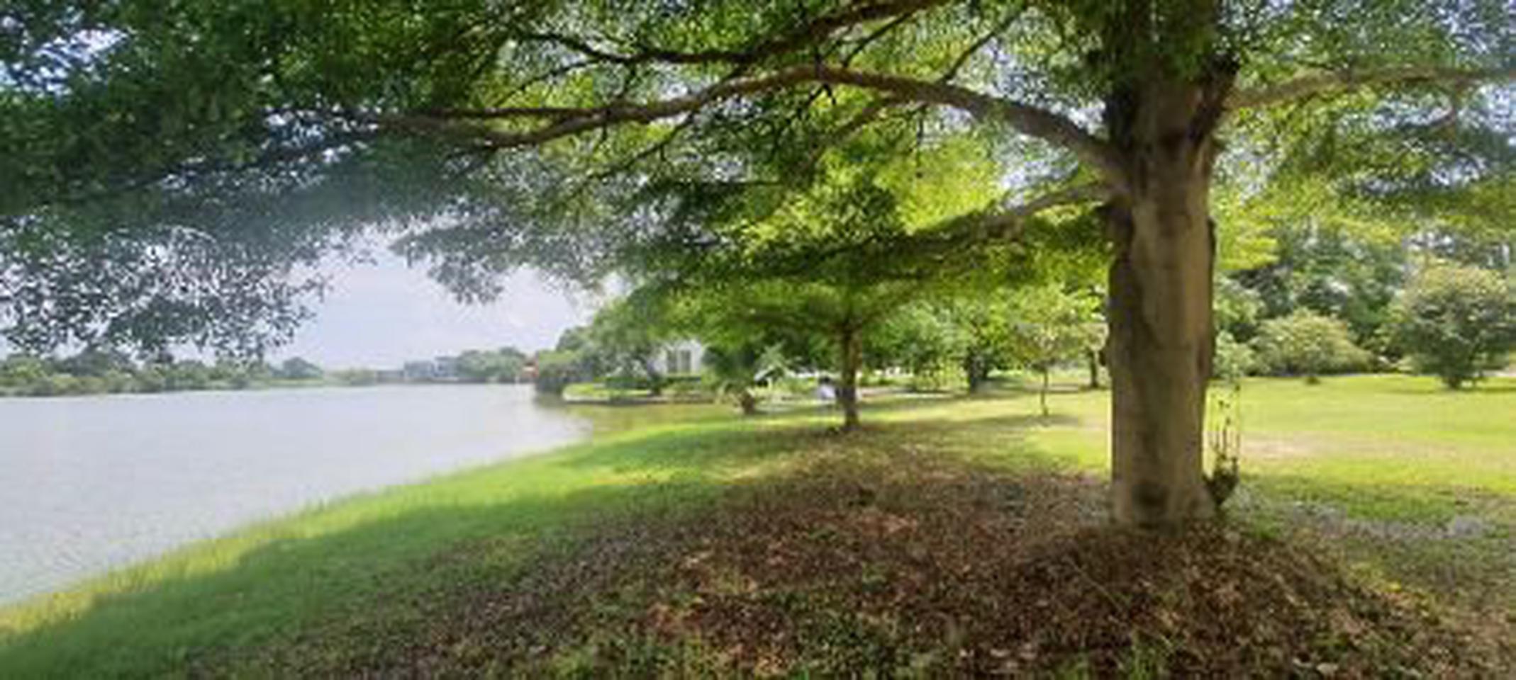 ขาย ที่ดิน​ ท้ายเกาะ สามโคก​ ปทุมธานี​ หมู่บ้านเดอะลากูล​ 1-2 The​ Lagoon ขายถูก​ ขายเท่าราคาประเมิน รูปที่ 12