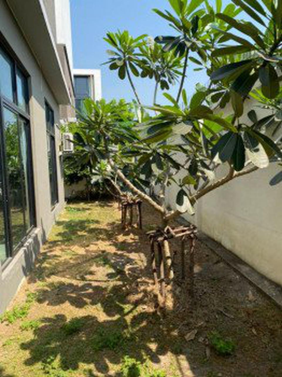 ขาย ทาวน์โฮม 3 ห้องนอน 3.5 ชั้น Loft หลังมุม หมู่บ้านฟลอร่า วงศ์สว่าง 141.6 ตรม. 35.40 ตร.วา ติดริมถนนใหญ่ กรุงเทพ-นนทบุ รูปที่ 9