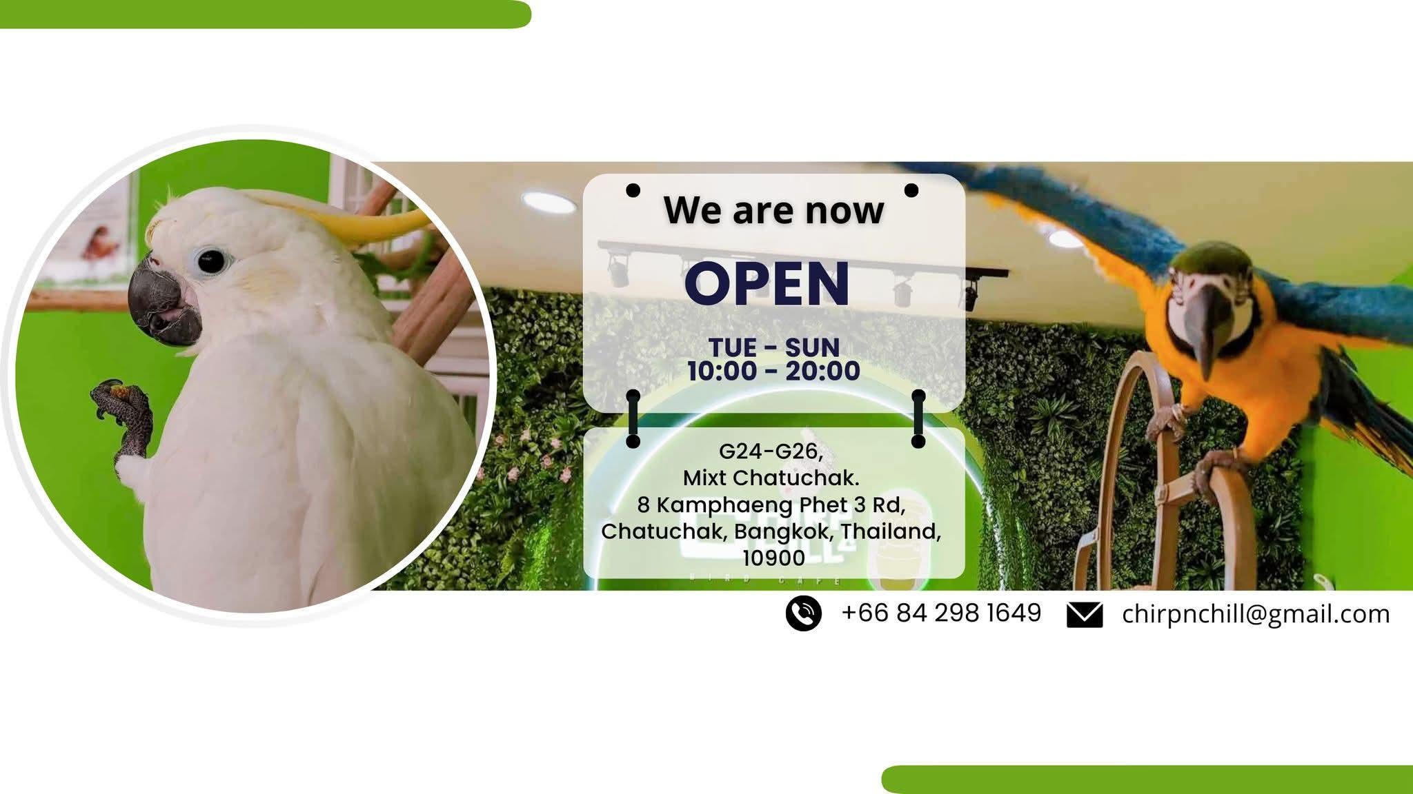 ร้าน Chirp & Chill