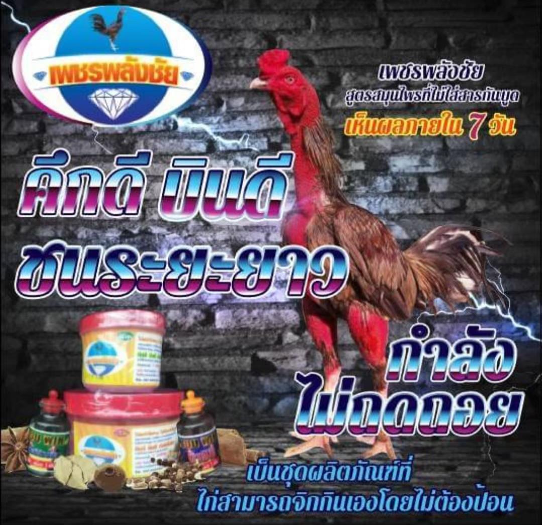 ร้าน เพชรพลังชัย