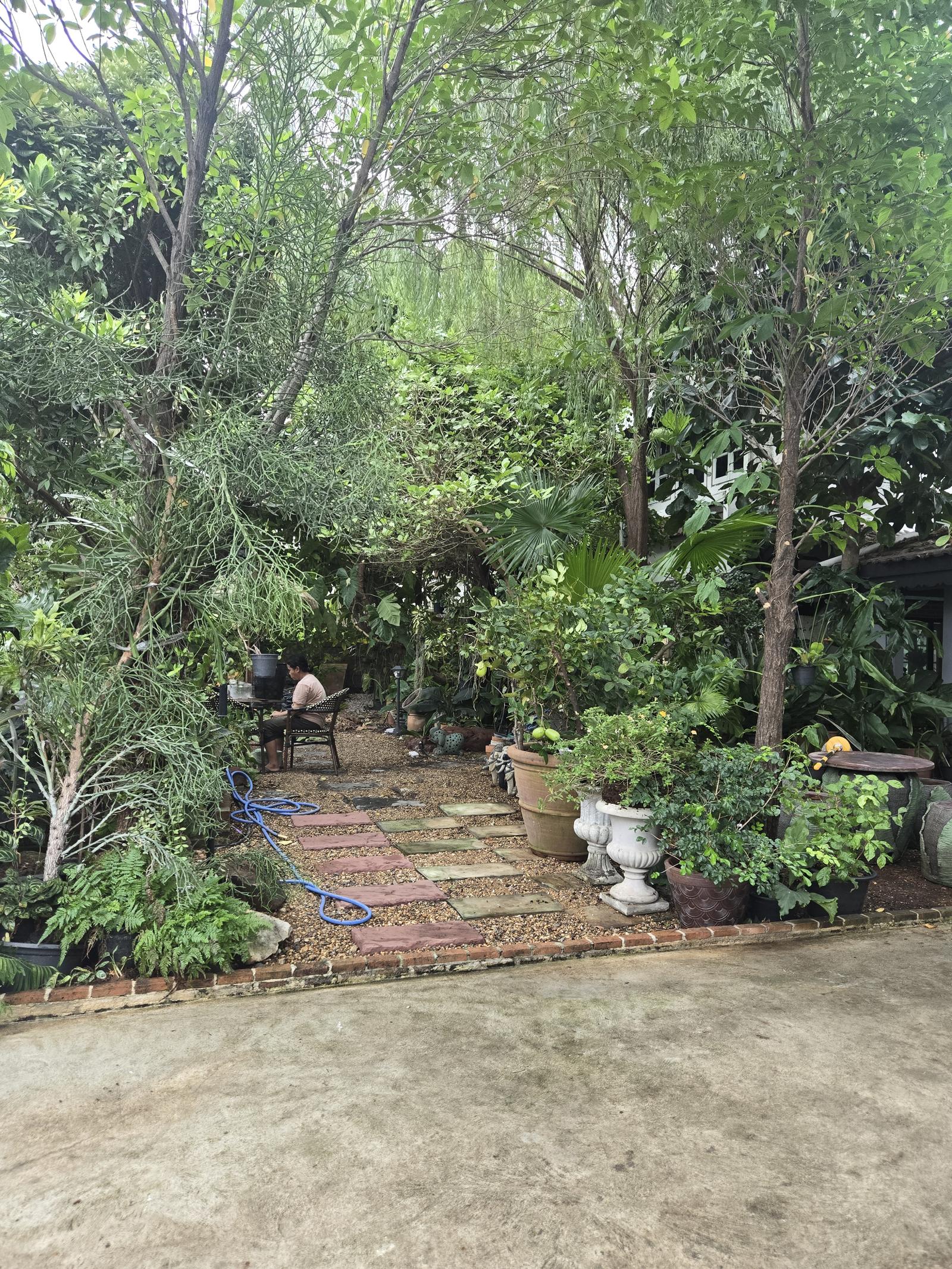 ร้าน Nita PETShop