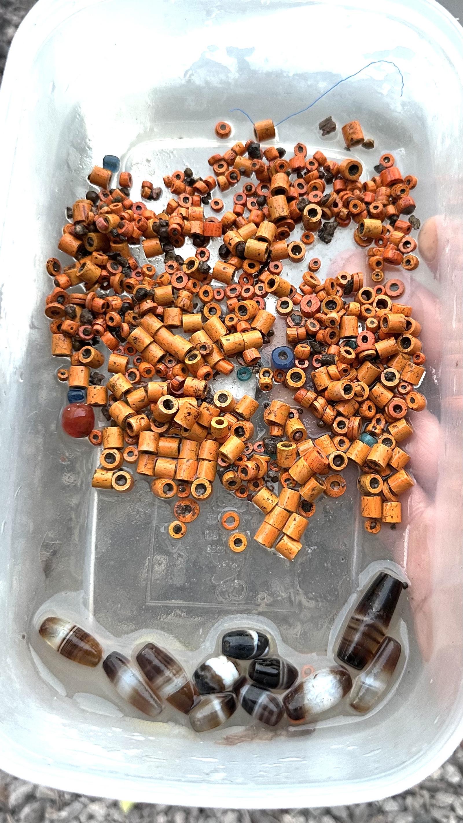 ร้าน นักล่าสมบัติเมืองขอน