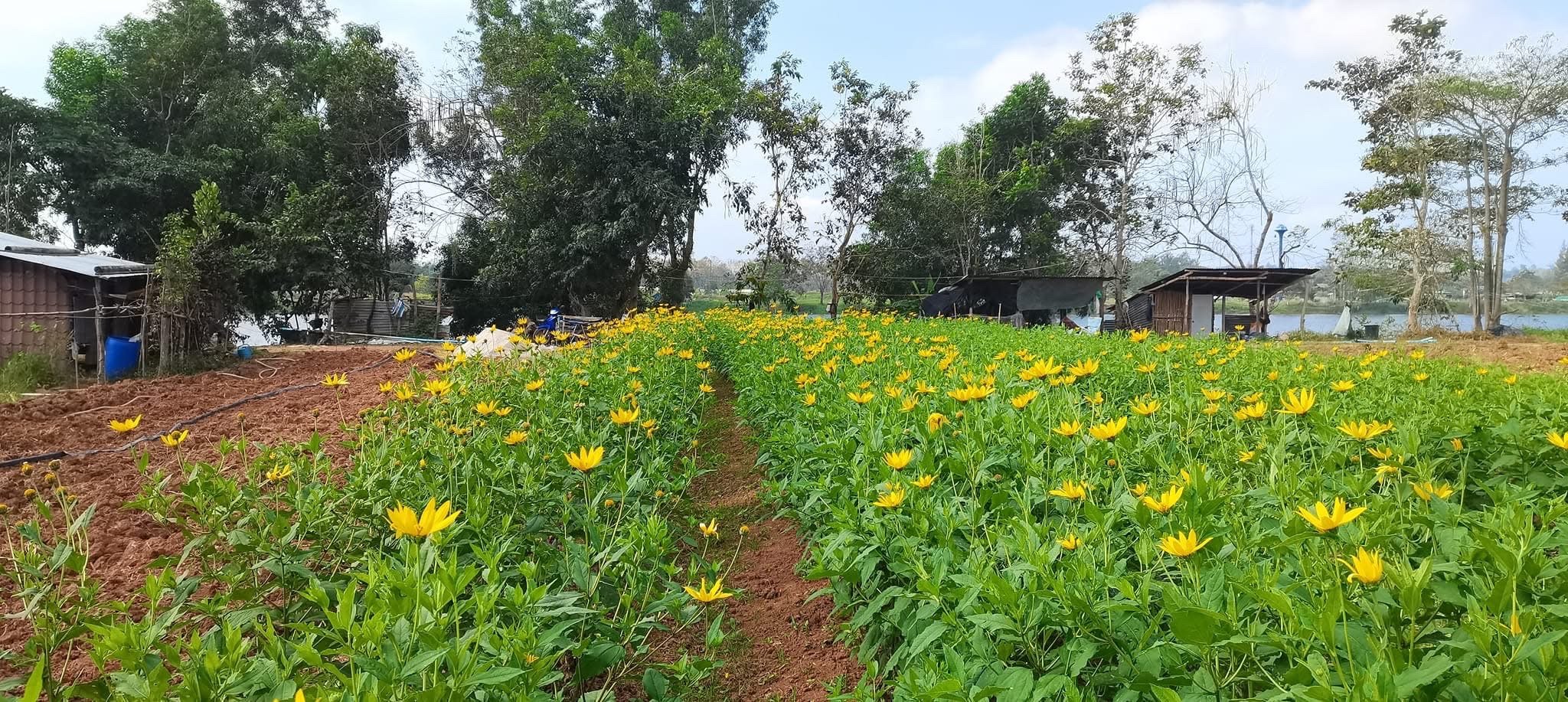 ร้าน พุทธคุณ168