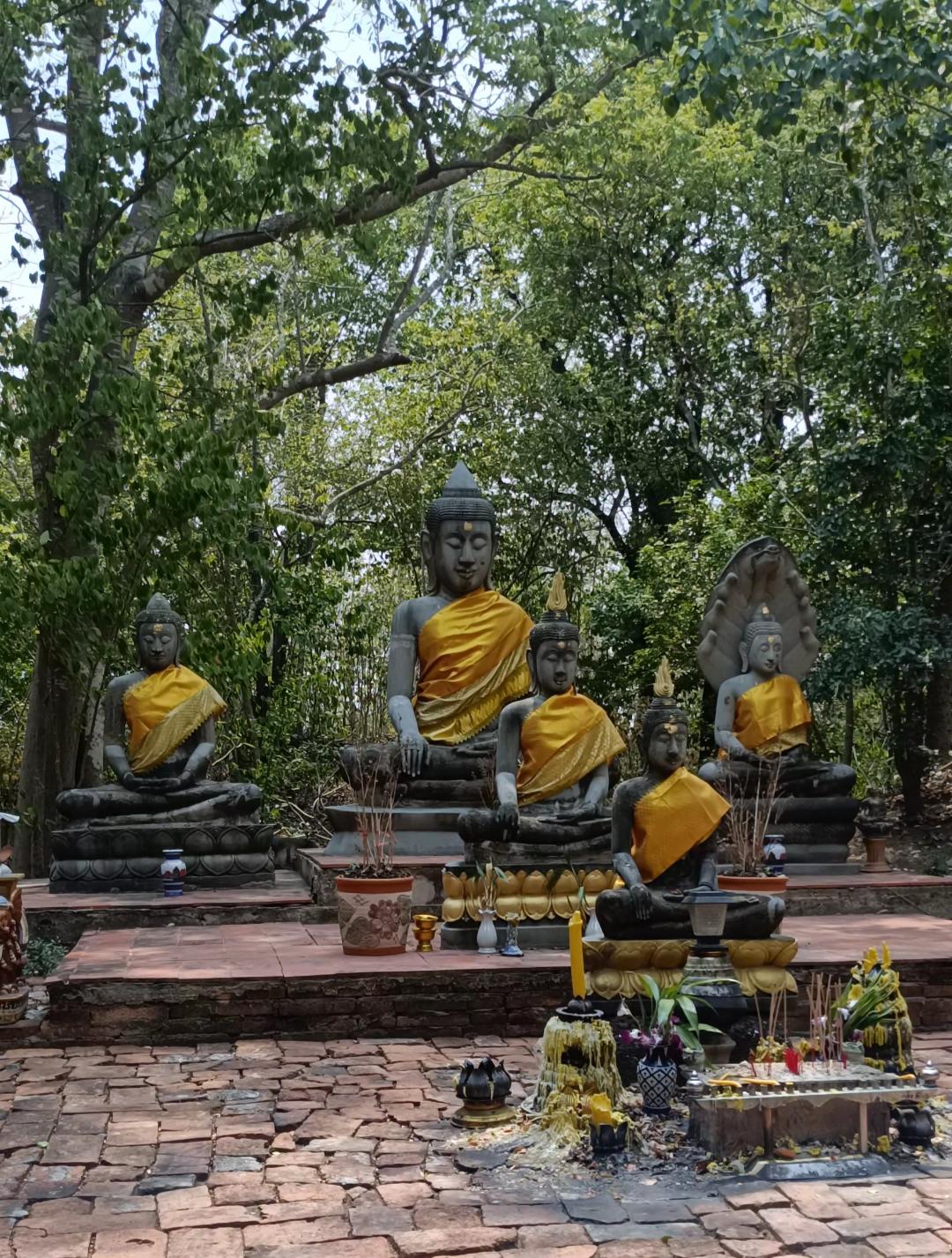 ร้าน สีขอน เจริญรุ่งทรัพย์