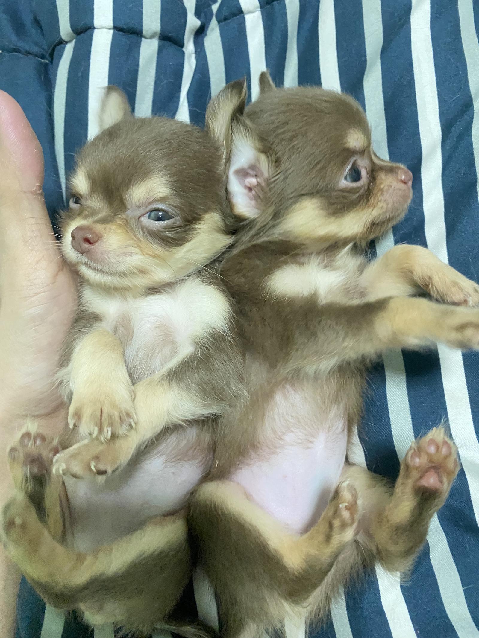 ร้าน nanashop