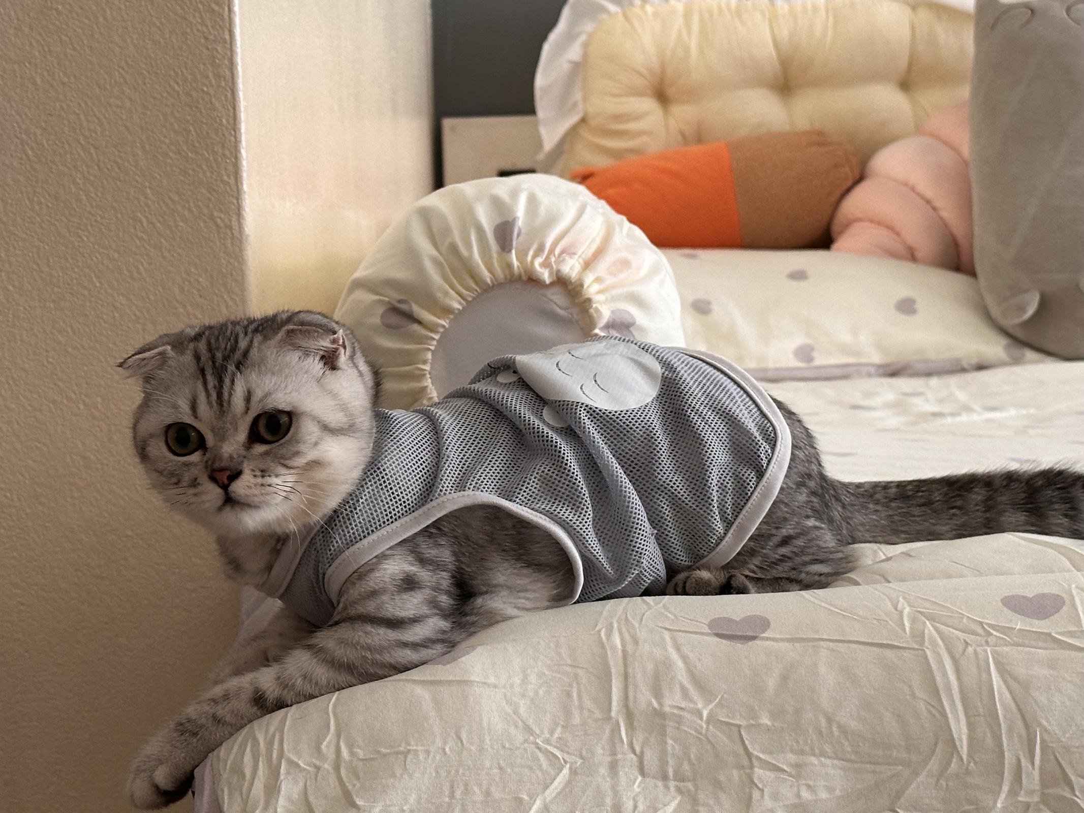 ร้าน ปติมาพร พงศ์ประยูร