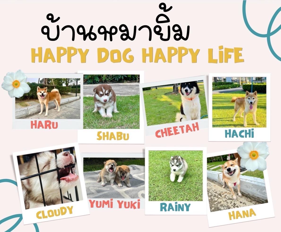 ร้าน บ้านหมายิ้ม ไซบีลิง&เดอะแก๊ง