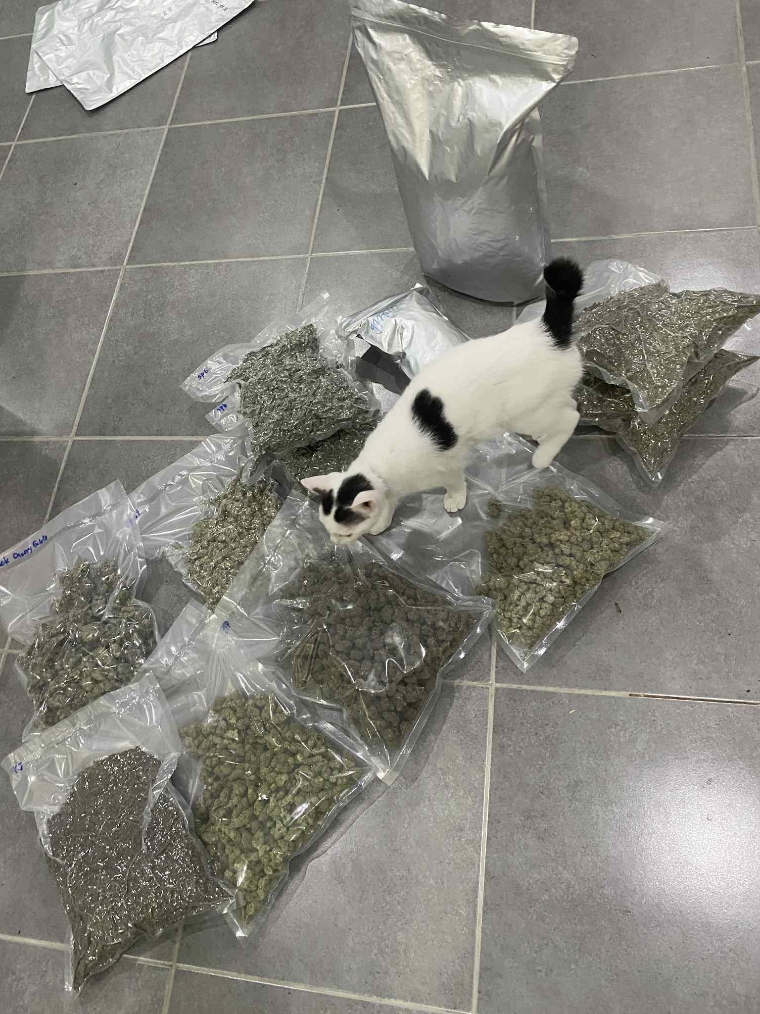 ร้าน Smile green 