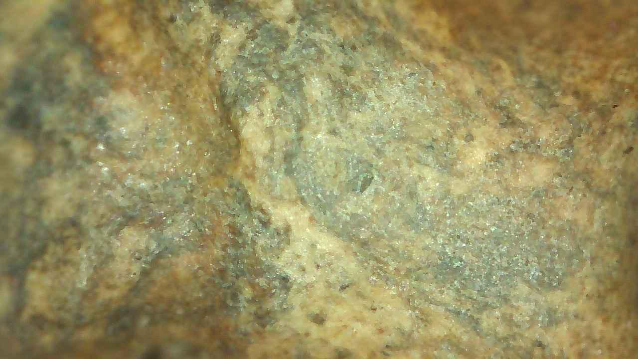 ร้าน ณ พุทธคุณพระเครื่อง