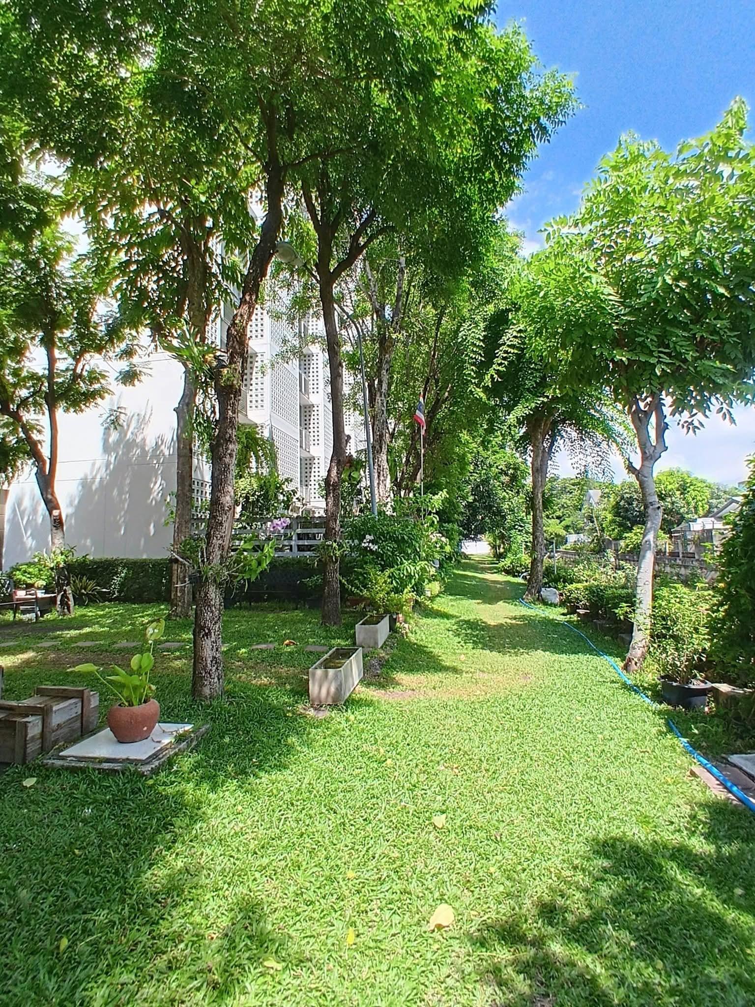 ร้าน Benyapa 395