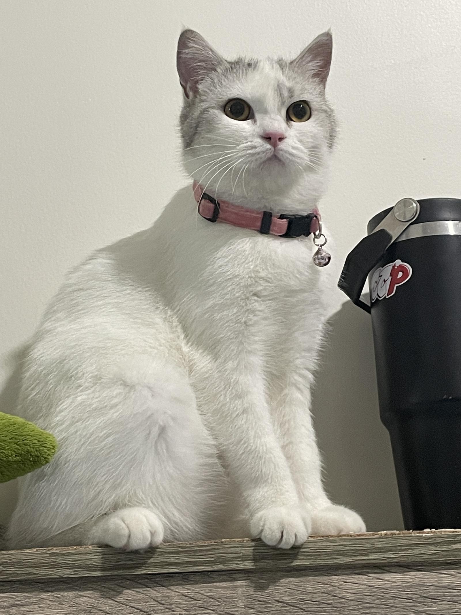 ร้าน ซีไนซ์