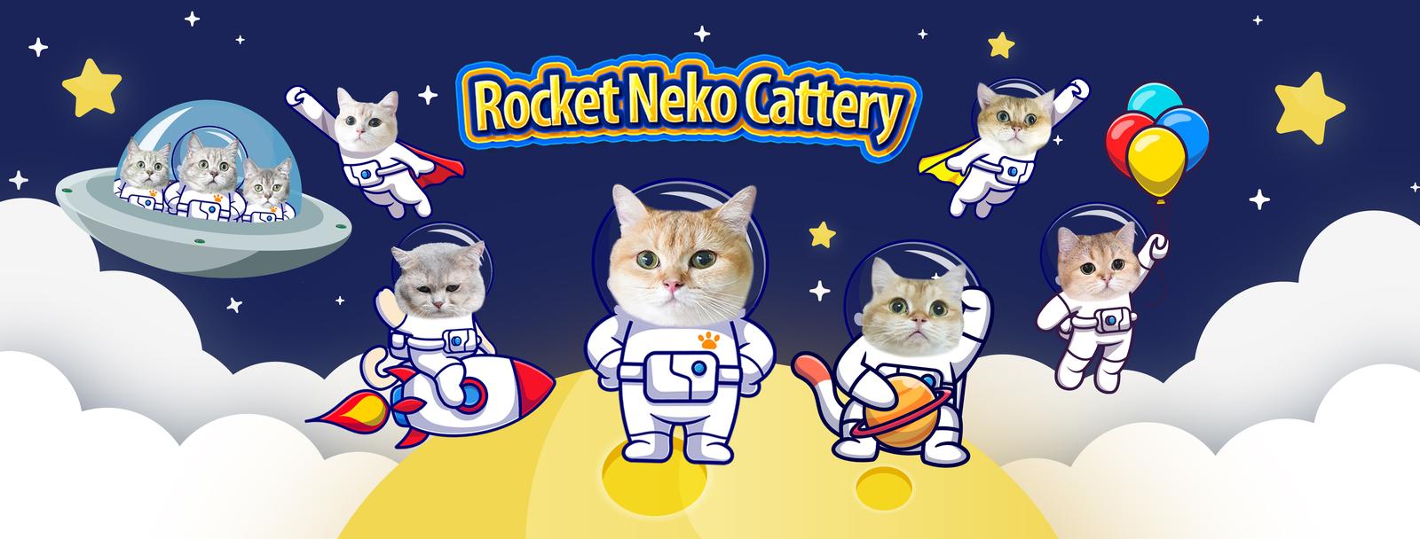 ร้าน Rocket Neko Cattery