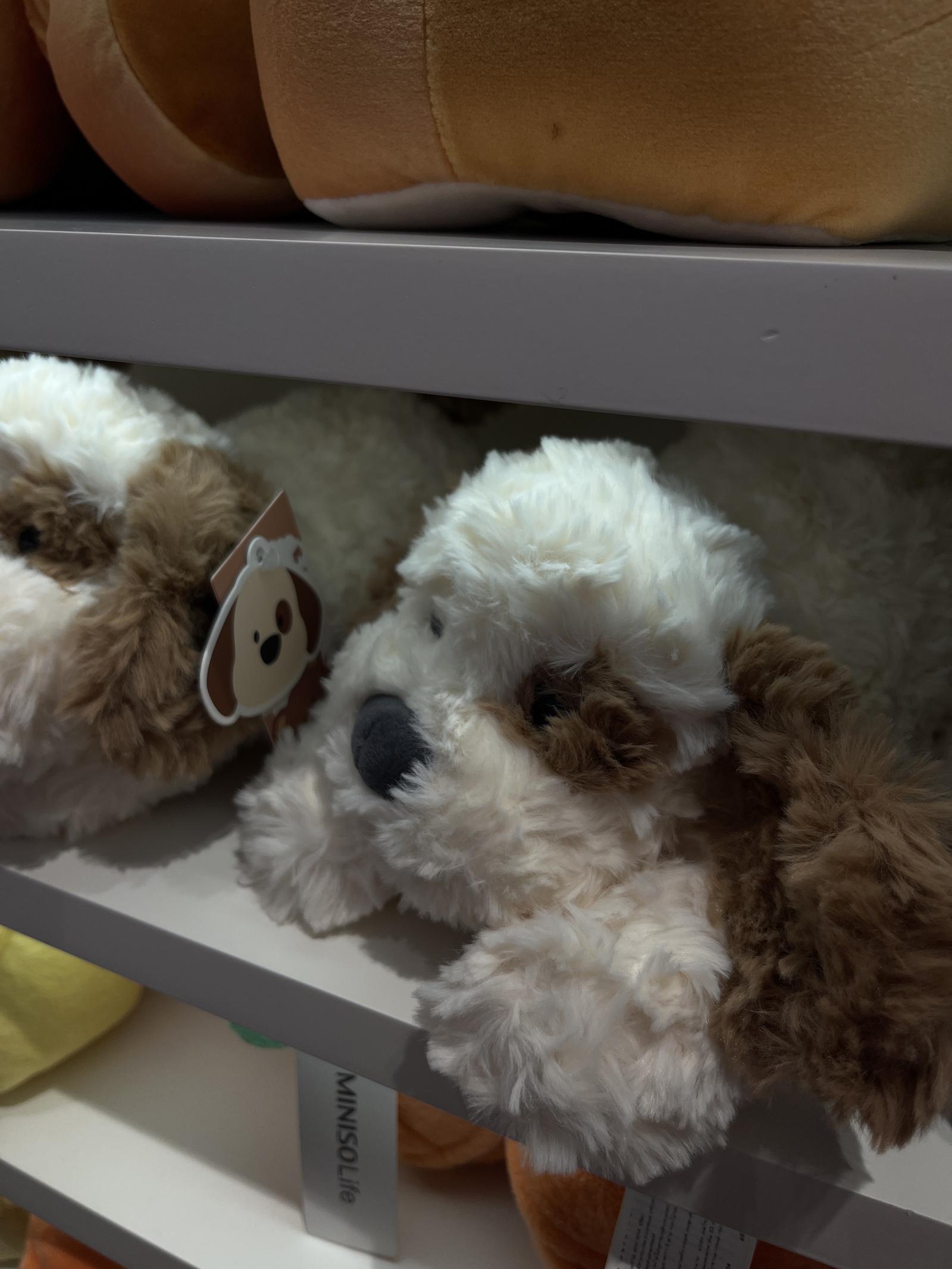 ร้าน panida titi