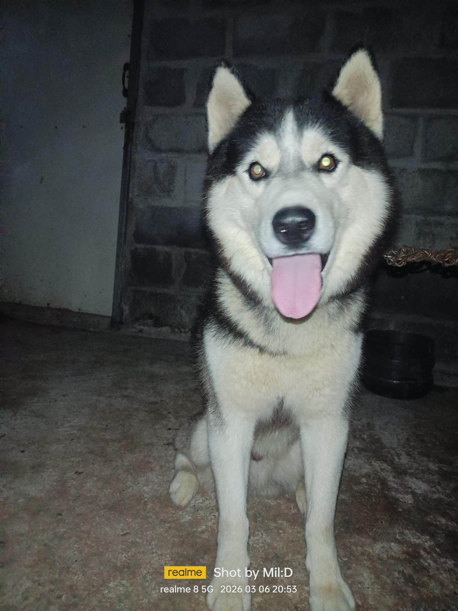 ร้าน บ้านมิวสิค