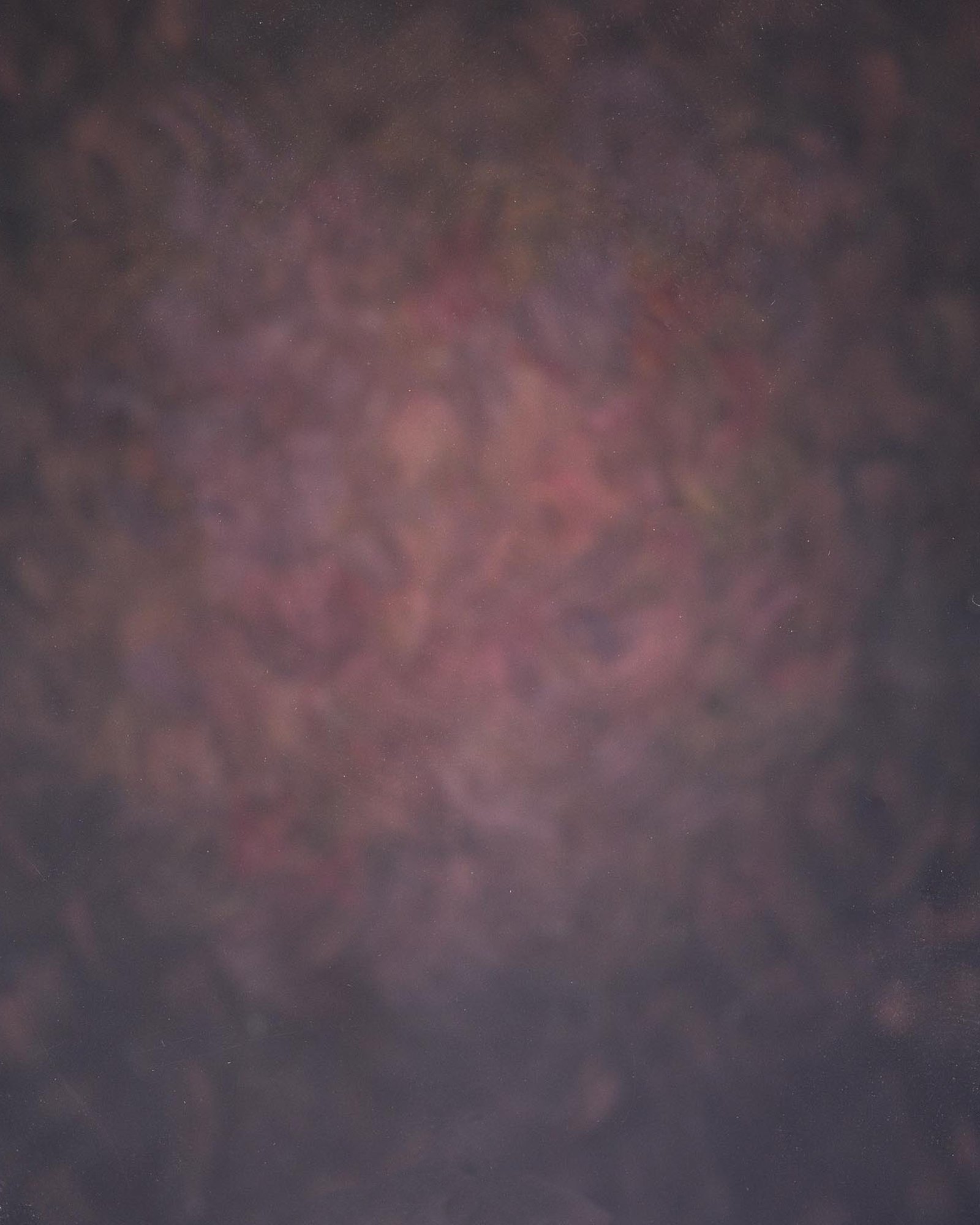 ร้าน มหาหงษ์ พระเครื่อง