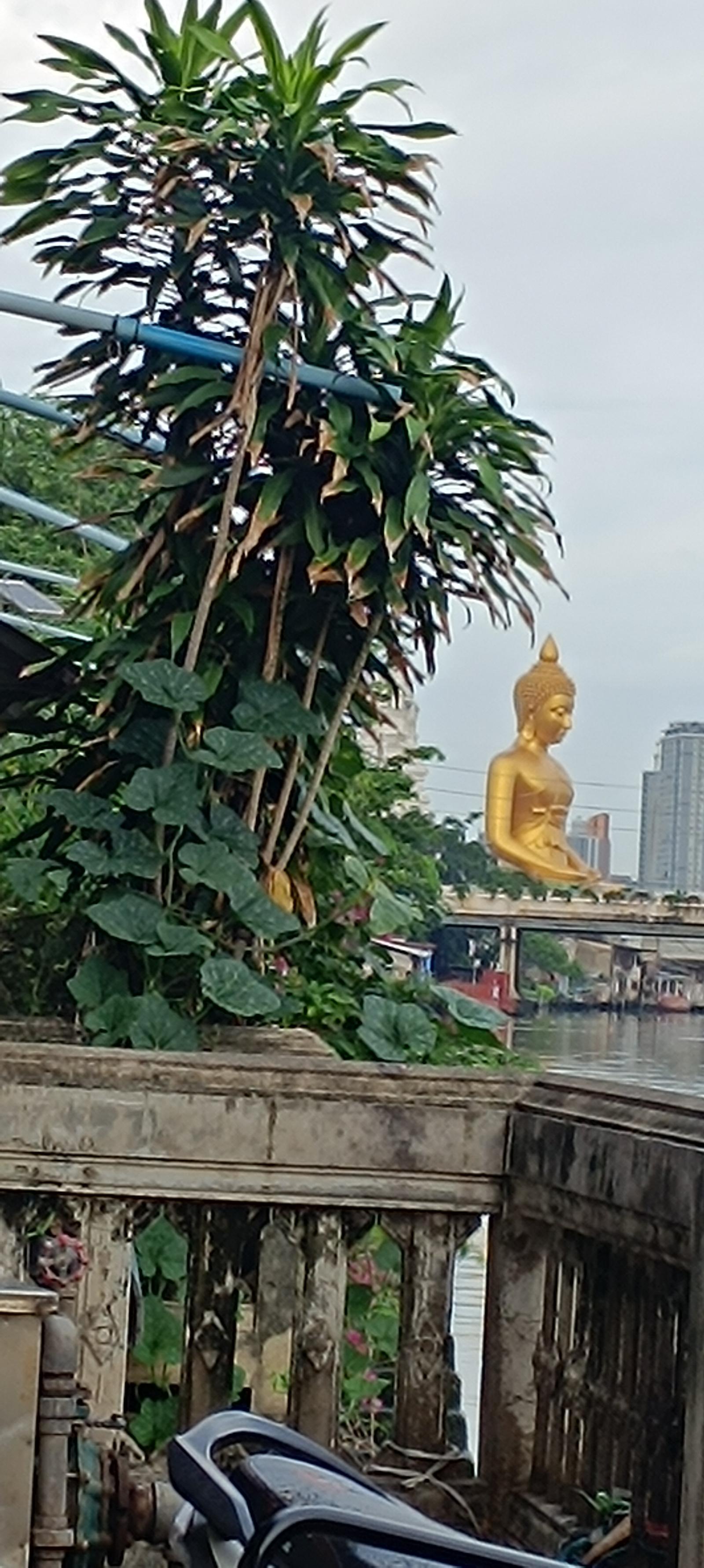 ร้าน อาม ขายพระบ้าน
