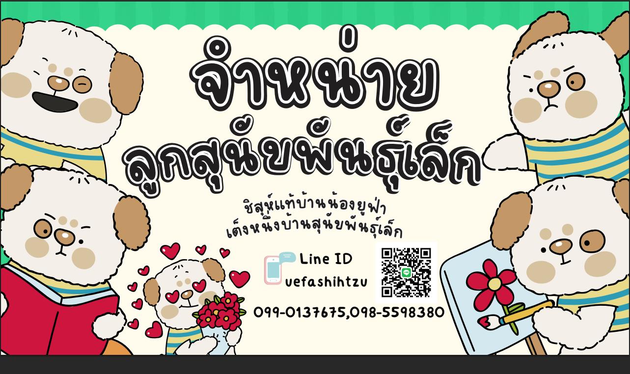 ร้าน เต็งหนึ่งบ้านสุนัขพันธุ์เล็ก