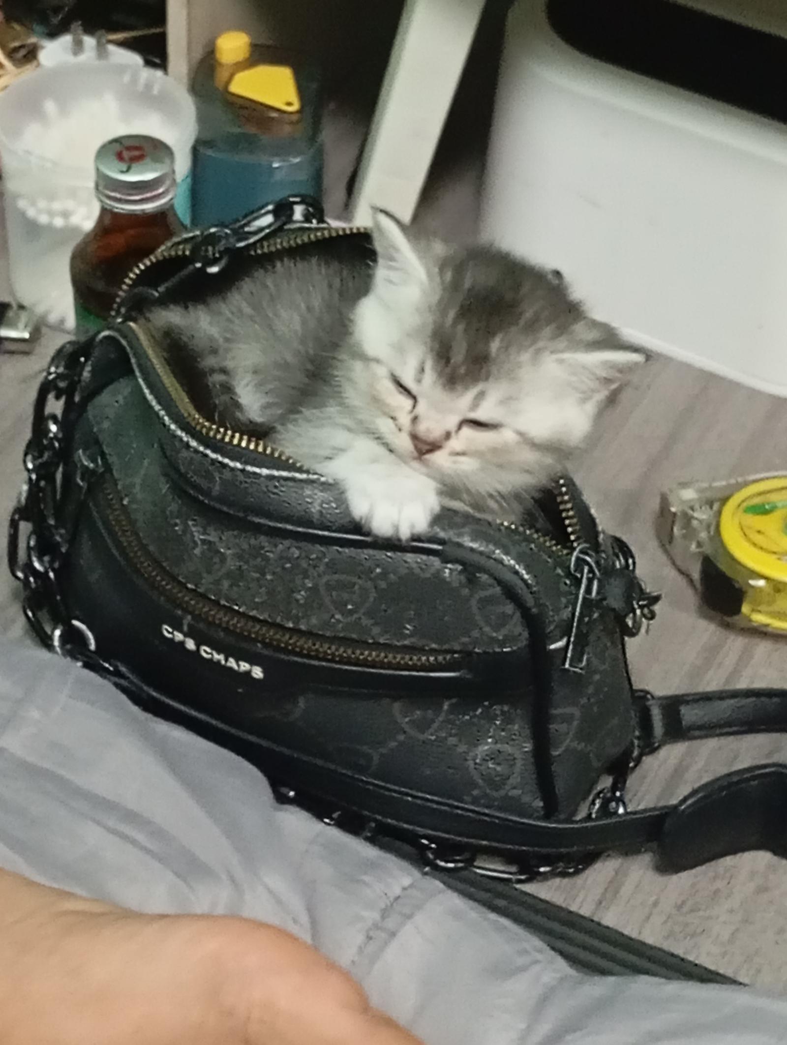 ร้าน Now4you