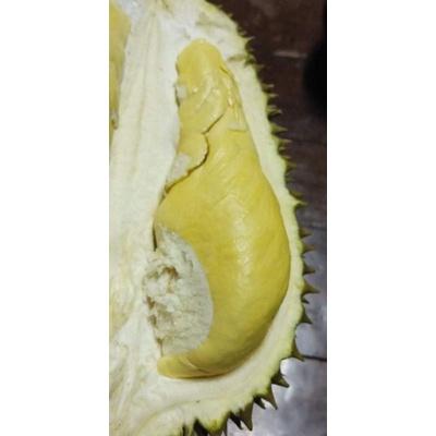 ร้าน FunnyMarket