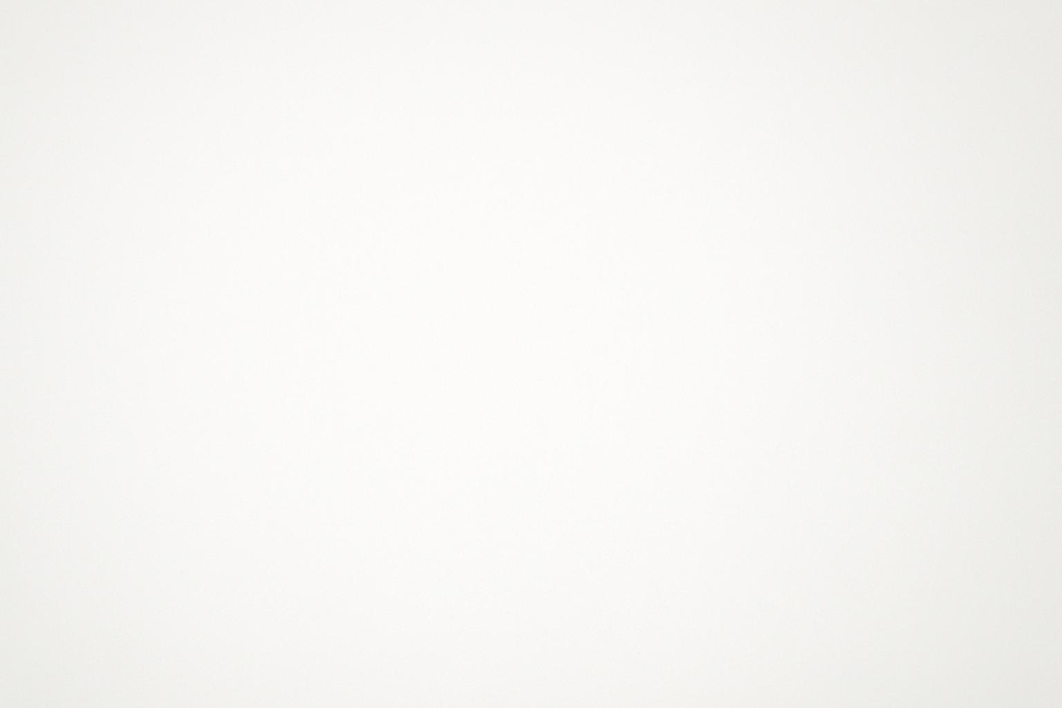 ร้าน Ronny Falcon Cattery