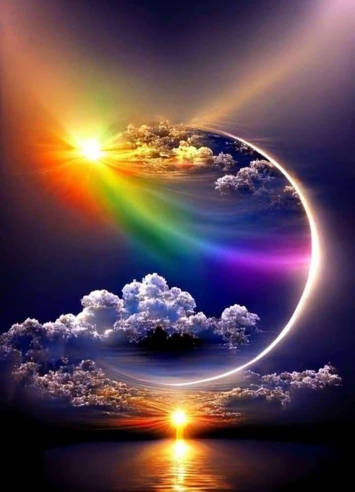 ร้าน WHITE 🕊️ DOVE 