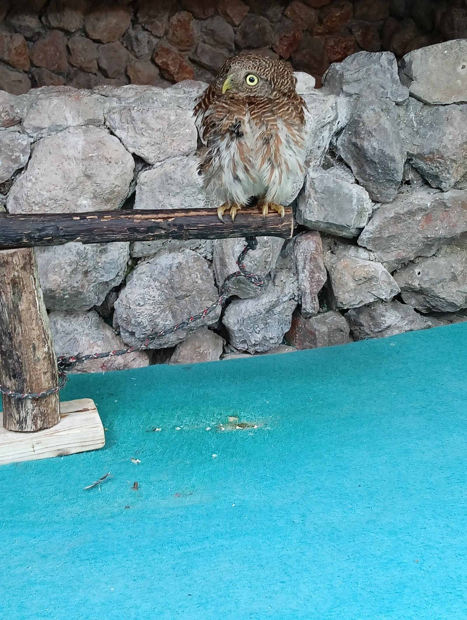 ร้าน Cat smile