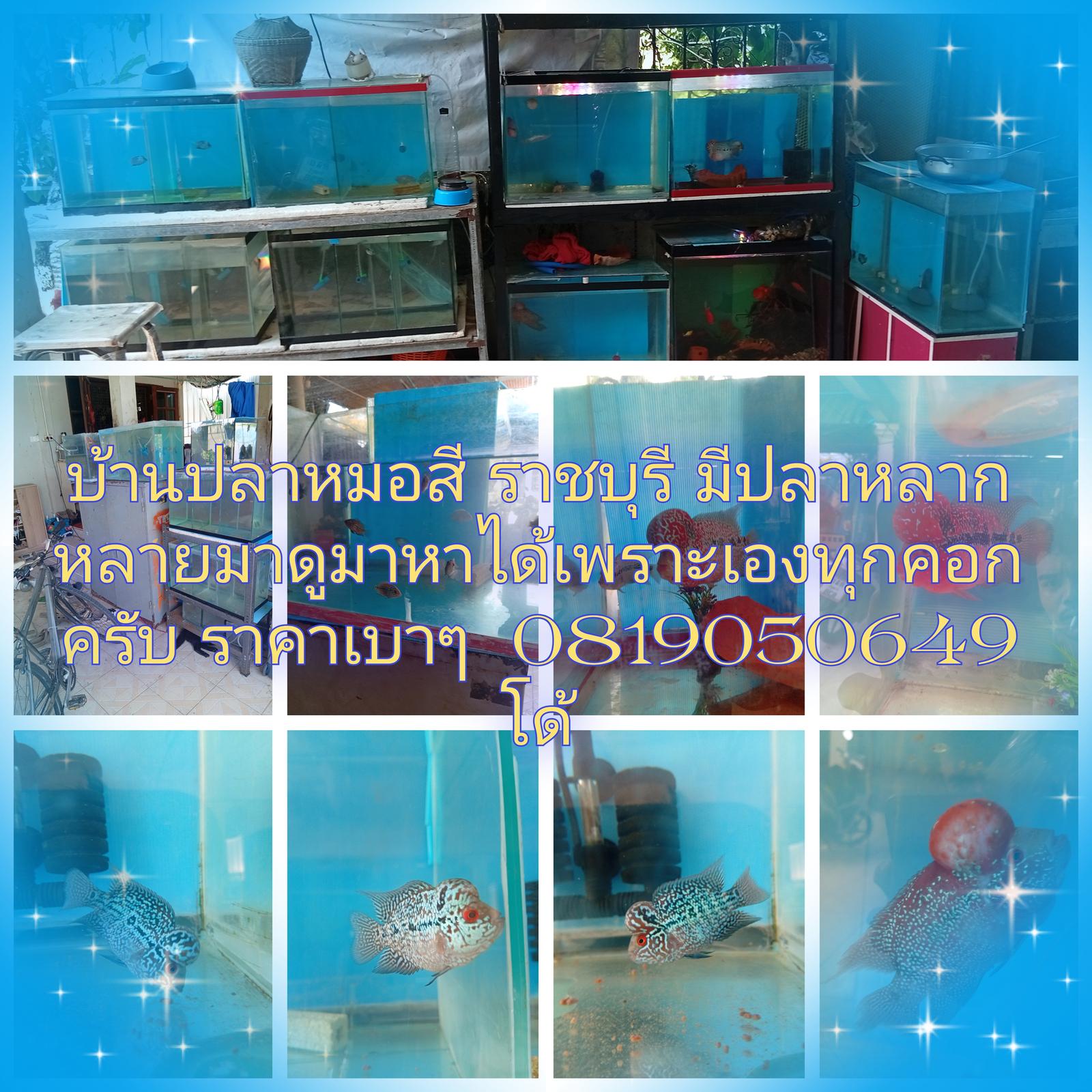 ร้าน จักรกฤษณ์ ทลาไธสง