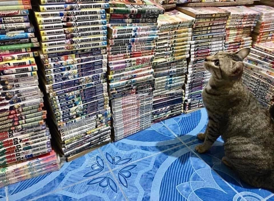 ร้าน Book Lovers  ขายหนังสือทั่วไป-หนังสือการ์ตูน