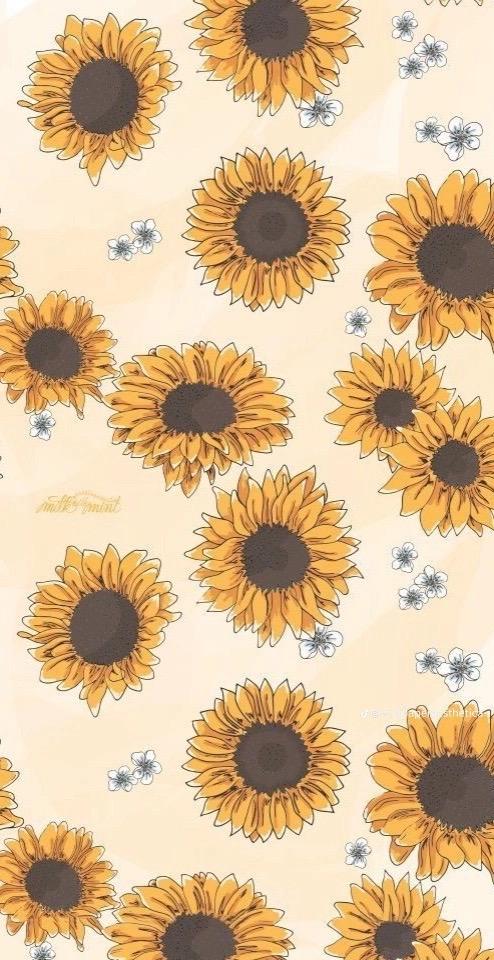 ร้าน Cozyloved1997🌻