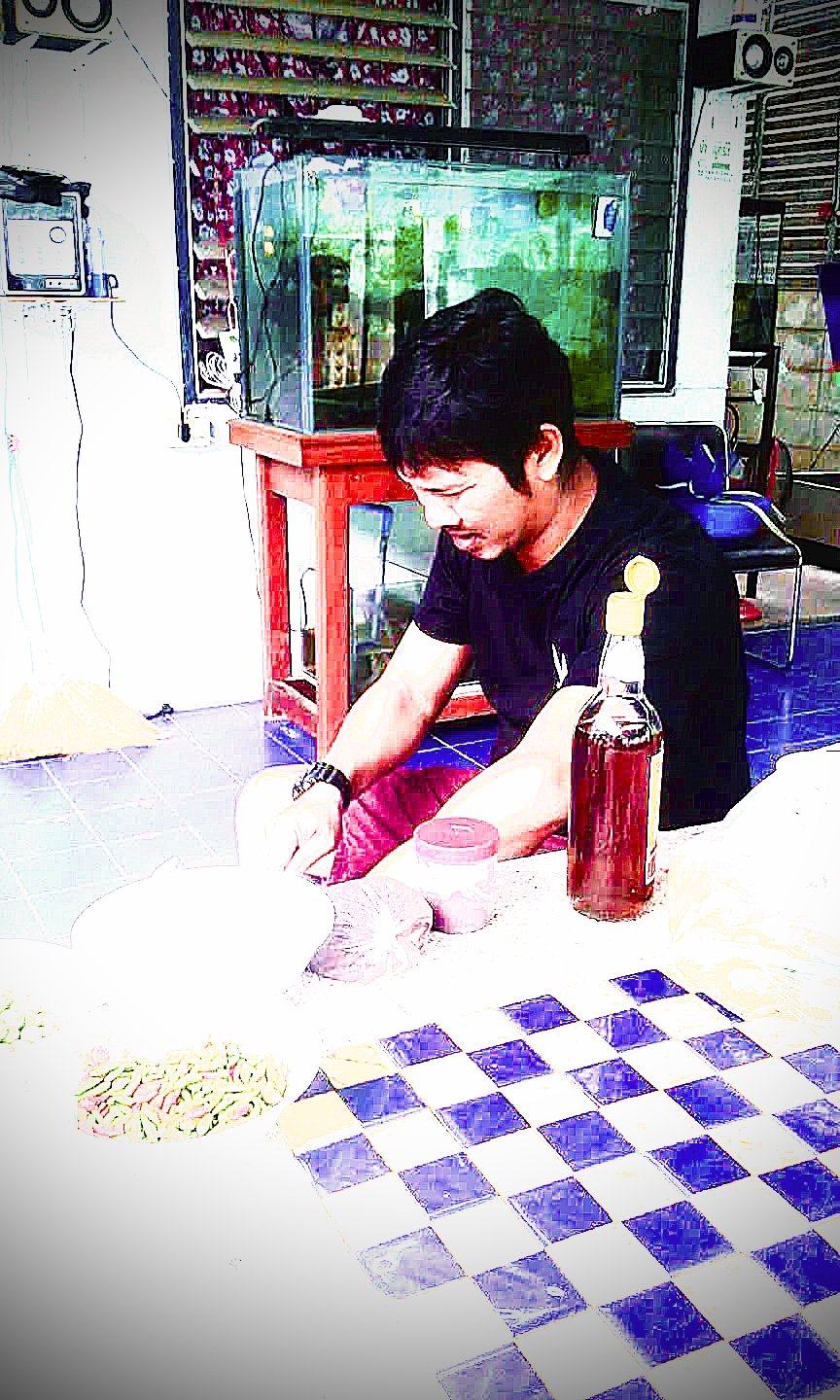 ร้าน pup pup