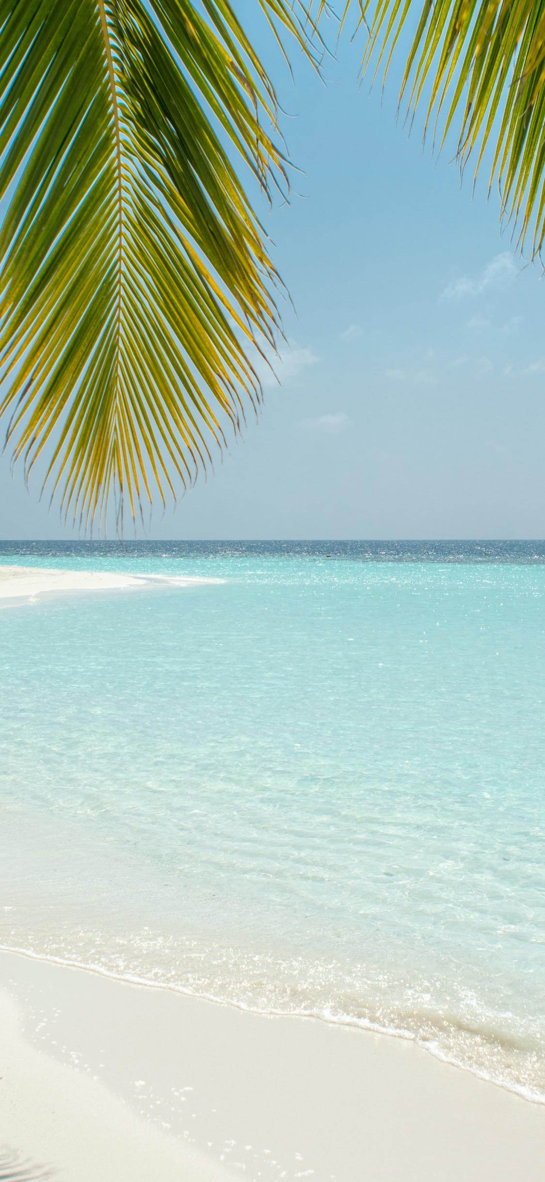 ร้าน Natthaphong